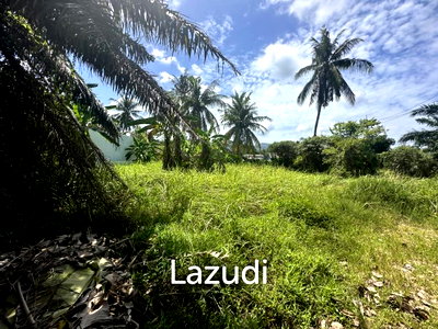 Land for sale Surat Thani : Prime Hin Kong Land for Sale with Thai Company & Ready Architectural Project