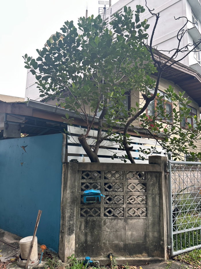 รูป ขายบ้านเดี่ยวครึ่งตึกครึ่งไม้สักทอง แปลงใหญ่ 181 ตร.ว. ทำเลเมืองนนทบุรี ใกล้ท่าน้ำนนท์ เหมาะอยู่อาศัยหรือลงทุน - รูปที่ 7/15