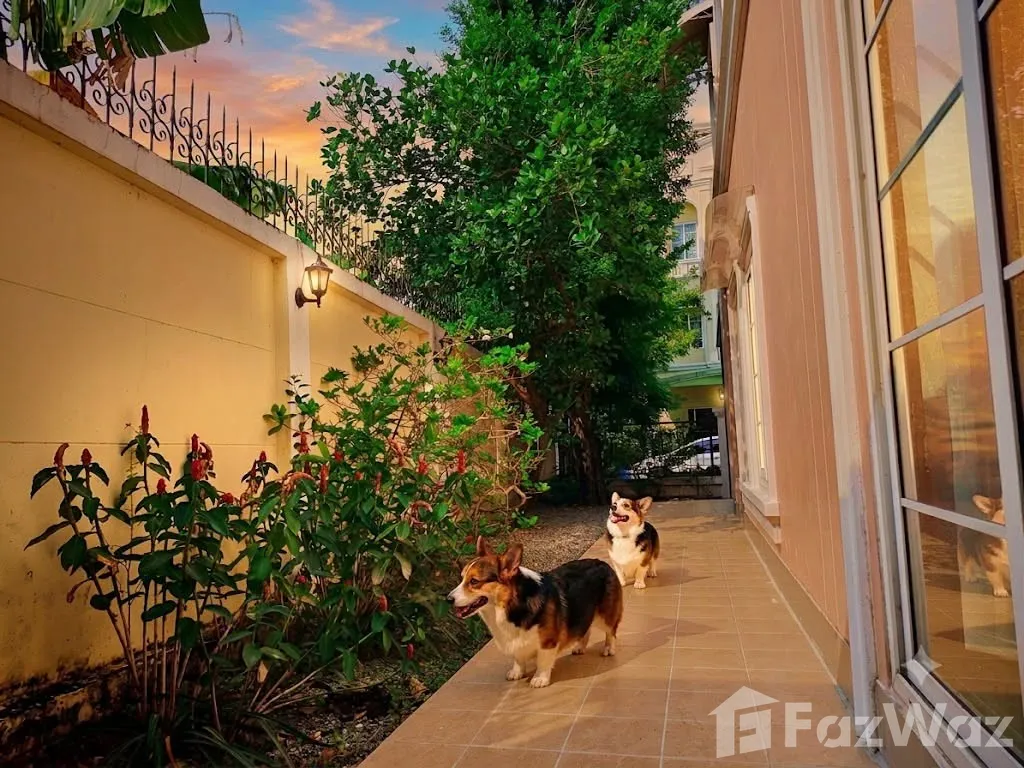 รูป บ้านเดี่ยวให้เช่า 4 ห้องนอน ในโครงการ เออร์เบิ้น สาทร 6569565 - รูปที่ 10/14