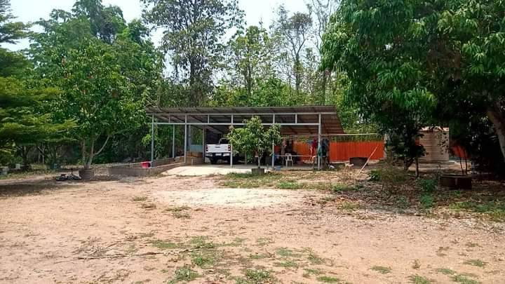 รูป ขายที่ดินพร้อมบ้านสวน บรรยากาศดี อ.ห้างฉัตร จ.ลำปาง ราคาคุ้มค่า เอกสารสิทธิ์ โฉนดที่ดิน (น.ส.4 จ.) พร้อมโอน - รูปที่ 6/17