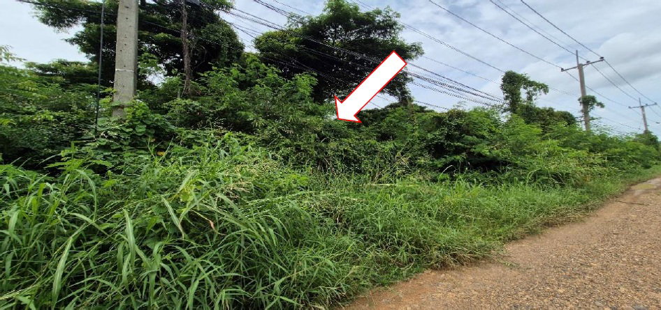 รูป ที่ดินเปล่า 1607 ตร.วา อำเภออินทร์บุรี จังหวัดสิงห์บุรี 4M - รูปที่ 3/11