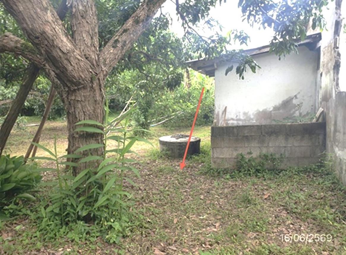 picture LAND 247 Sq.w. Mae Tha Lamphun for 741,000 - 13/18