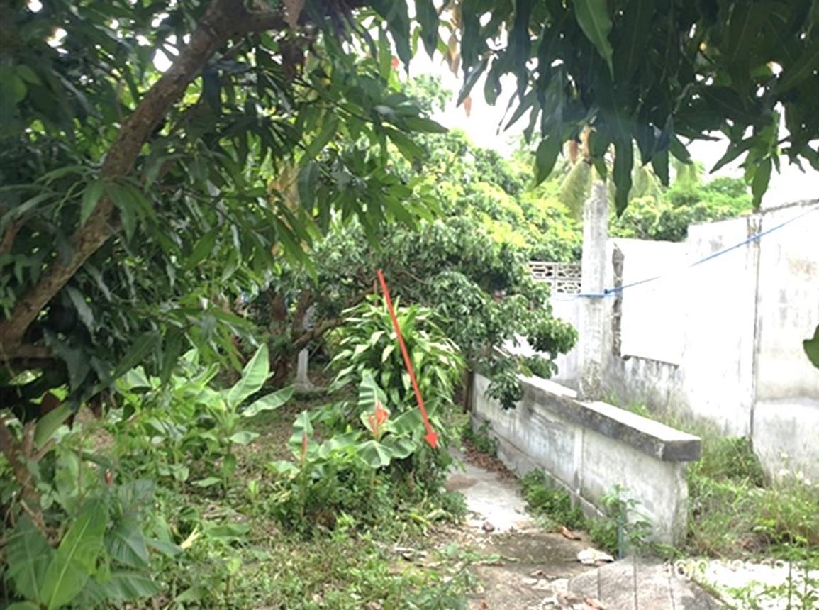 picture LAND 247 Sq.w. Mae Tha Lamphun for 741,000 - 12/18