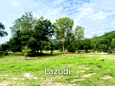 ที่ดิน ม.ศิลปากรวิทยาเขตสารสนเทศเพชรบุรี : ที่ดินเปล่า 2 ไร่  อำเภอชะอำ เพชรบุรี วิวภูเขา