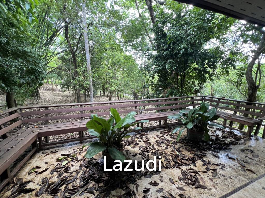 รูป ขายบ้าน 2 ห้องนอนท่ามกลางธรรมชาติในหมู่บ้านภูปลายฟ้า - รูปที่ 12/18