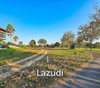 listing thumbnail image 4