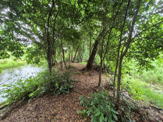 รูป ที่ดินเปล่า 1607 ตร.วา อำเภออินทร์บุรี จังหวัดสิงห์บุรี 4M - รูปที่ 5/11