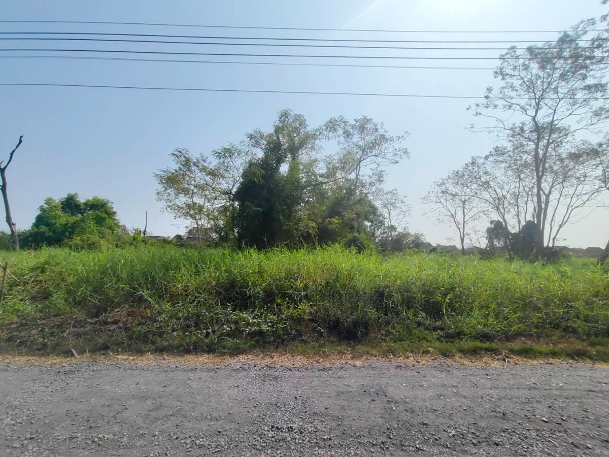 picture Land for Sale: 2 Rai in Rangsit-Nakhon Nayok (Khlong 9) - 3/6