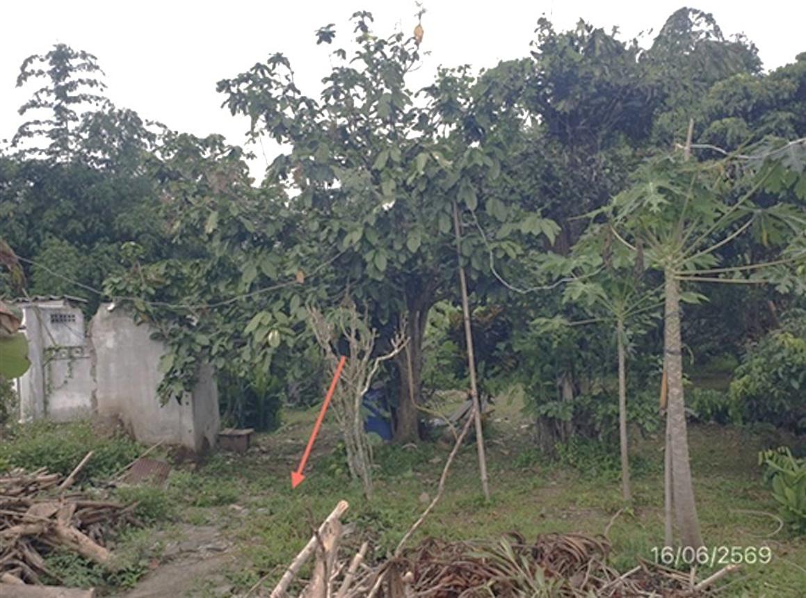 picture LAND 247 Sq.w. Mae Tha Lamphun for 741,000 - 11/18