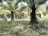 listing thumbnail image 10