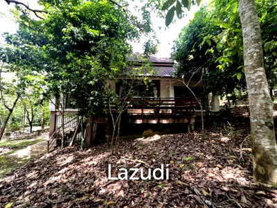 บ้านเดี่ยว เชียงราย : ขายบ้าน 2 ห้องนอนท่ามกลางธรรมชาติในหมู่บ้านภูปลายฟ้า