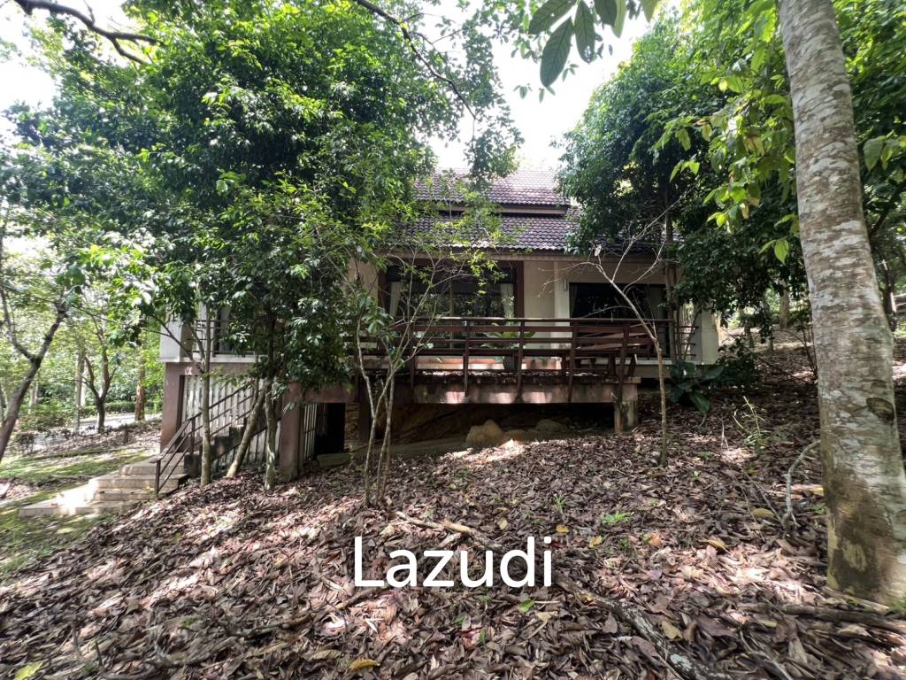 รูป ขายบ้าน 2 ห้องนอนท่ามกลางธรรมชาติในหมู่บ้านภูปลายฟ้า - รูปที่ 1/18