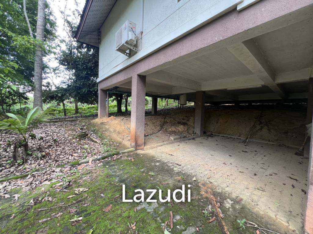 รูป ขายบ้าน 2 ห้องนอนท่ามกลางธรรมชาติในหมู่บ้านภูปลายฟ้า - รูปที่ 14/18