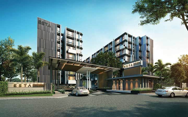 รูป A046349 Esta Bliss - รูปที่ 1/3