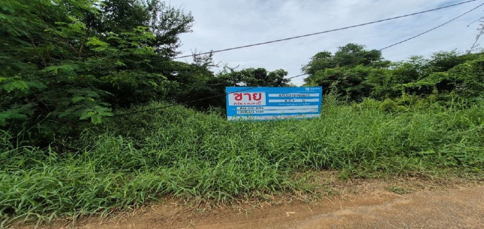 รูป ที่ดินเปล่า 1607 ตร.วา อำเภออินทร์บุรี จังหวัดสิงห์บุรี 4M - รูปที่ 1/11