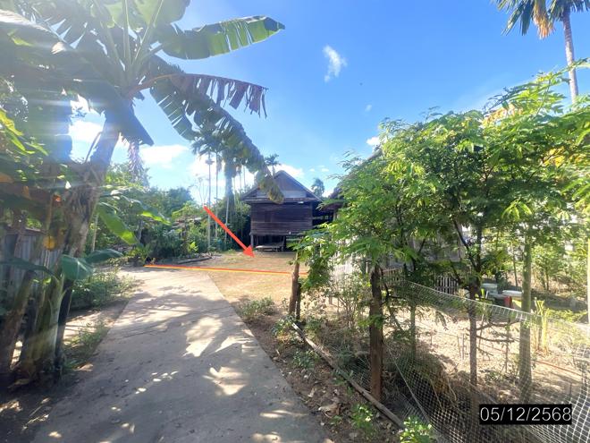 รูป บ้านเดี่ยว 103 ตร.วา ศรีรัตนะ ศรีสะเกษ 484,000 - รูปที่ 3/16