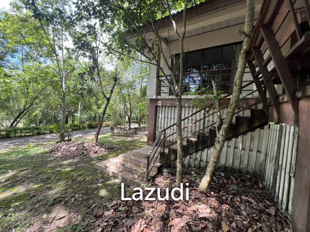 รูป ขายบ้าน 2 ห้องนอนท่ามกลางธรรมชาติในหมู่บ้านภูปลายฟ้า - รูปที่ 2/18