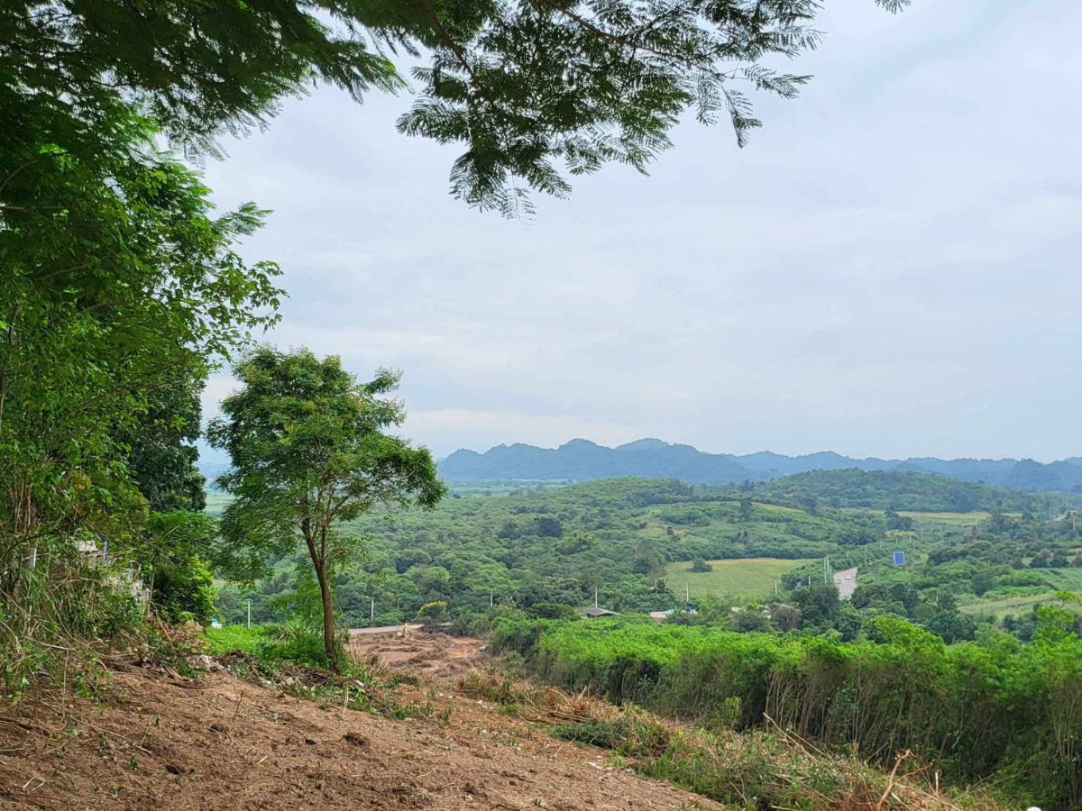 รูป ขายที่บนเนินเขา เขาใหญ่ คลองม่วง ปากช่อง 10 ไร่ ที่ดินบนเนินเขา วิวเขาสวยมาก ที่สูง ติดถนนลาดยาง ใกล้เส้น 3060 หนองสาหร่าย เดินทางสะดวก 087-9074045 - รูปที่ 3/10