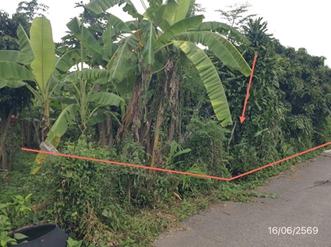 picture LAND 247 Sq.w. Mae Tha Lamphun for 741,000 - 2/18
