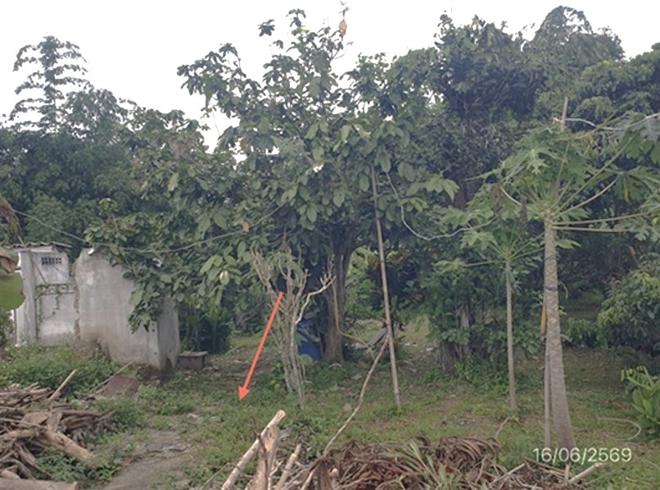picture LAND 247 Sq.w. Mae Tha Lamphun for 741,000 - 4/18