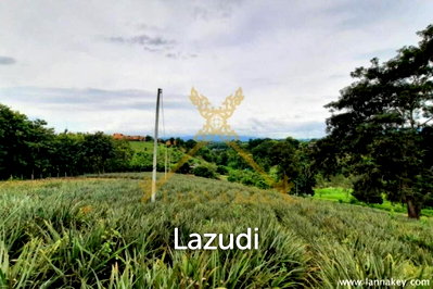 Land for sale : Nice Location Land near City