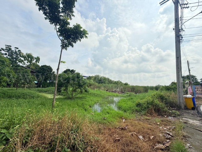 รูป ที่ดินเปล่า 5 ไร่ 22 ตารางวา ท่าอิฐ 15 แยกตาลเดียว - วัดบางบัวทอง นนทบุรี - รูปที่ 4/5