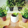 listing thumbnail image 6