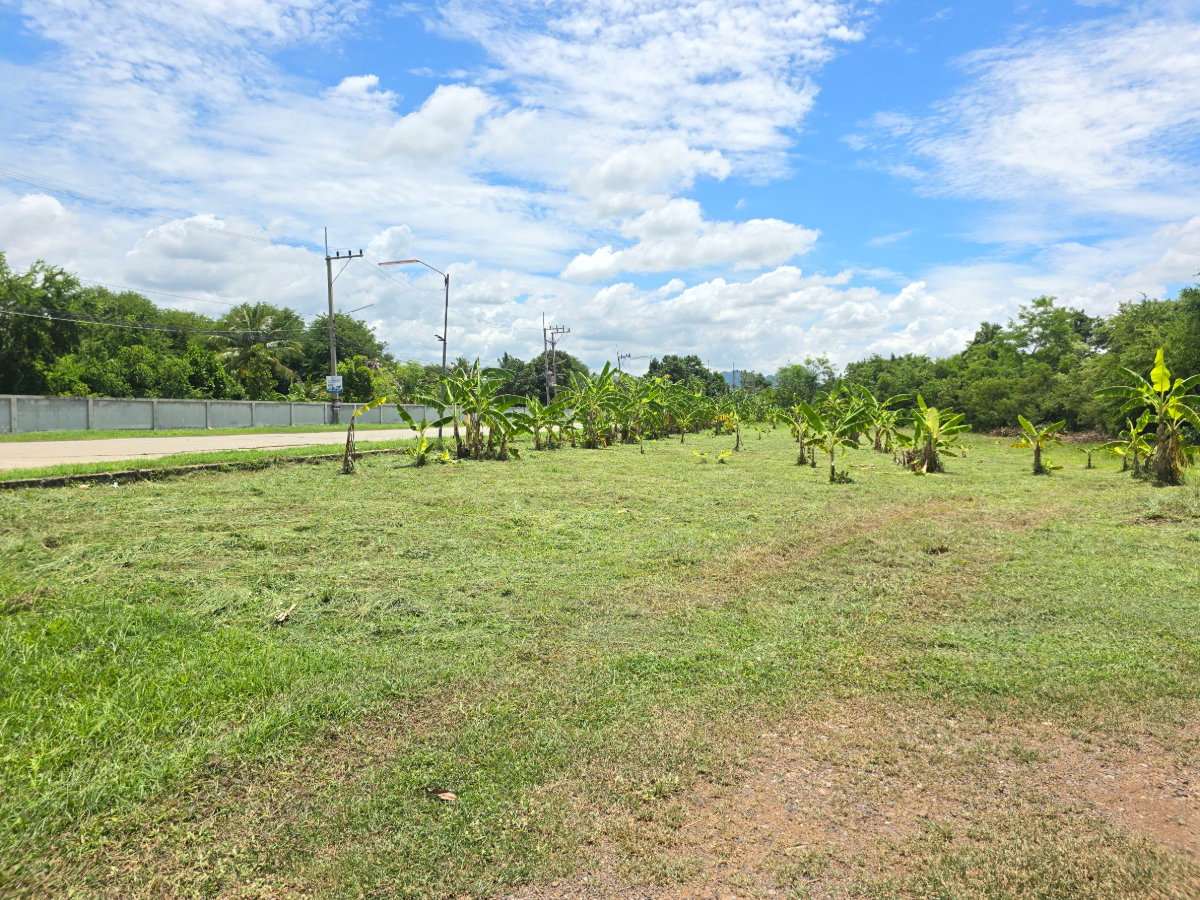 รูป ขายที่ดินเปล่าติดถนนพหลโยธิน ใกล้โรบินสัน ติดปั๊มน้ำมันปตท. โครงการบ้านแสงสุวรรณ ถนนพหลโยธิน ตำบลนิคมสร้างตนเอง อำเภอเมืองลพบุรี จังหวัดลพบุรี - รูปที่ 19/42