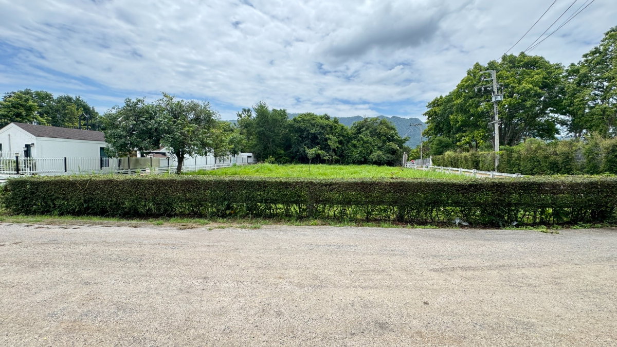 รูป ขายที่ดินพญาเย็น ปากช่อง 335 ตร.ว. วิวเขา เหมาะสร้างบ้านพักและพูลวิลล่า - รูปที่ 6/16