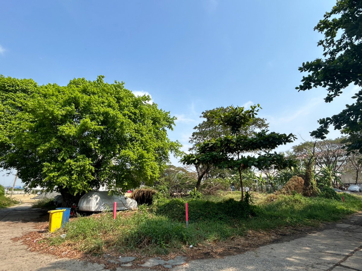 รูป ขายที่ดิน 332 ตร.ว. ประเวศ อ่อนนุช55/1 ใกล้รถไฟฟ้าสายสีเหลือง - รูปที่ 3/4