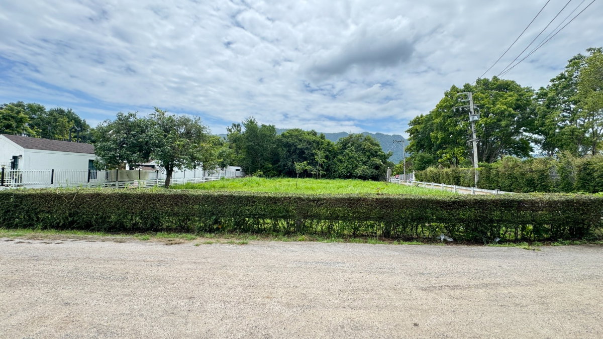 รูป ขายที่ดินพญาเย็น ปากช่อง 335 ตร.ว. วิวเขา เหมาะสร้างบ้านพักและพูลวิลล่า - รูปที่ 2/16