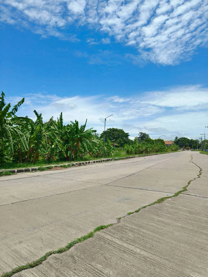 รูป ขายที่ดินเปล่าติดถนนพหลโยธิน ใกล้โรบินสัน ติดปั๊มน้ำมันปตท. โครงการบ้านแสงสุวรรณ ถนนพหลโยธิน ตำบลนิคมสร้างตนเอง อำเภอเมืองลพบุรี จังหวัดลพบุรี - รูปที่ 30/42
