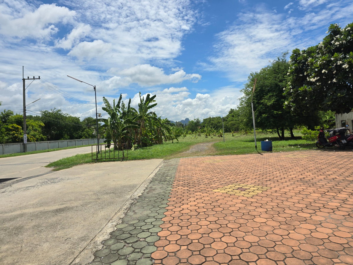 รูป ขายที่ดินเปล่าติดถนนพหลโยธิน ใกล้โรบินสัน ติดปั๊มน้ำมันปตท. โครงการบ้านแสงสุวรรณ ถนนพหลโยธิน ตำบลนิคมสร้างตนเอง อำเภอเมืองลพบุรี จังหวัดลพบุรี - รูปที่ 11/42