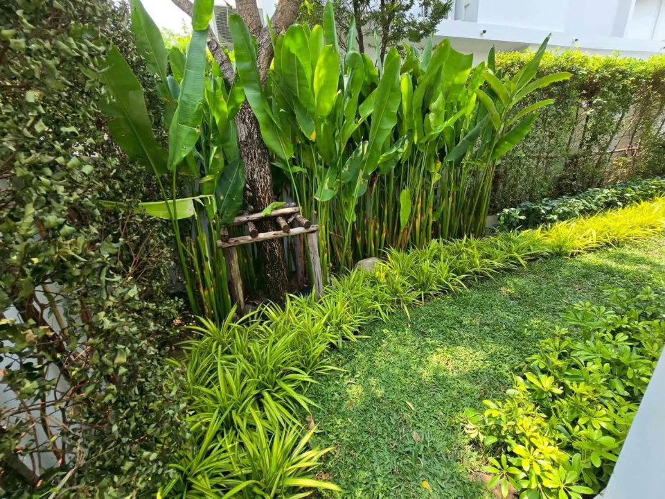 รูป ME2500354 ให้เช่า บ้านเดี่ยว 2 ชั้น ตกแต่งสวย บ้านมัณฑนา บางนา กม. 15 เฟอร์ครบครัน พร้อมอยู่ - รูปที่ 2/12