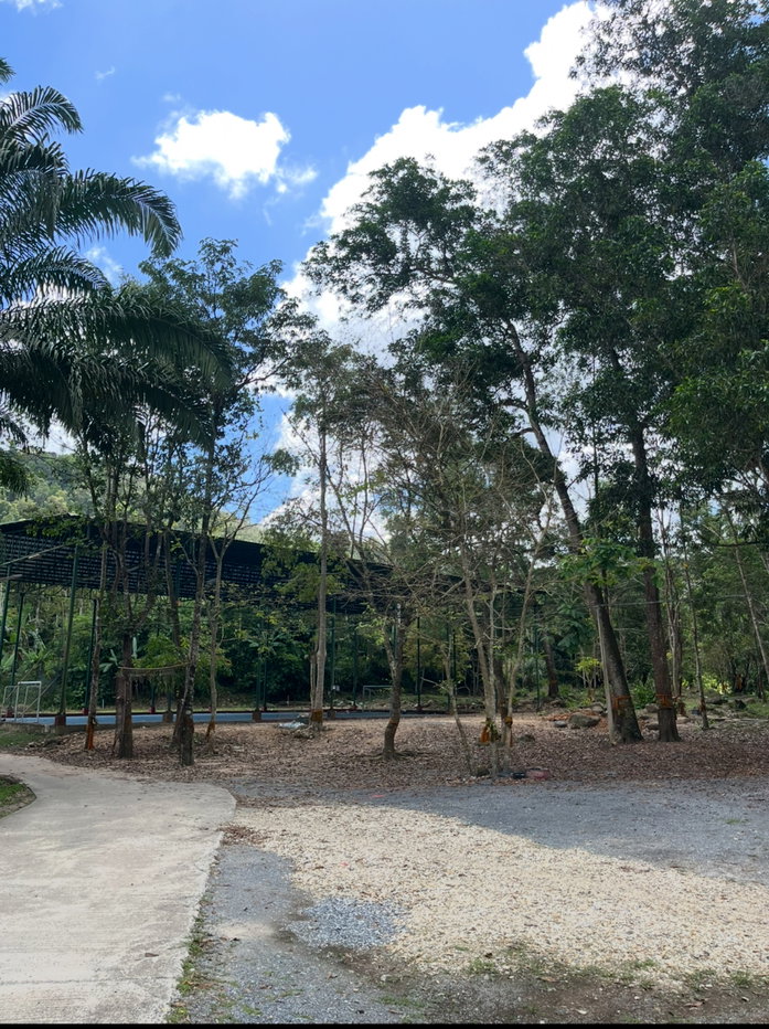 รูป ขายที่ดินราคาถูก วิวภูเขา แม่น้ำ เหมาะทำบ้านพัก คาเฟ่ธรรมชาติ   นส3   ห่างจากตลาด 5นาที ห่างน้ำตกพรหมโลก 3กิโลเมตร    บรรยากาศเงียบสงบ อากาศดี  - รูปที่ 9/11