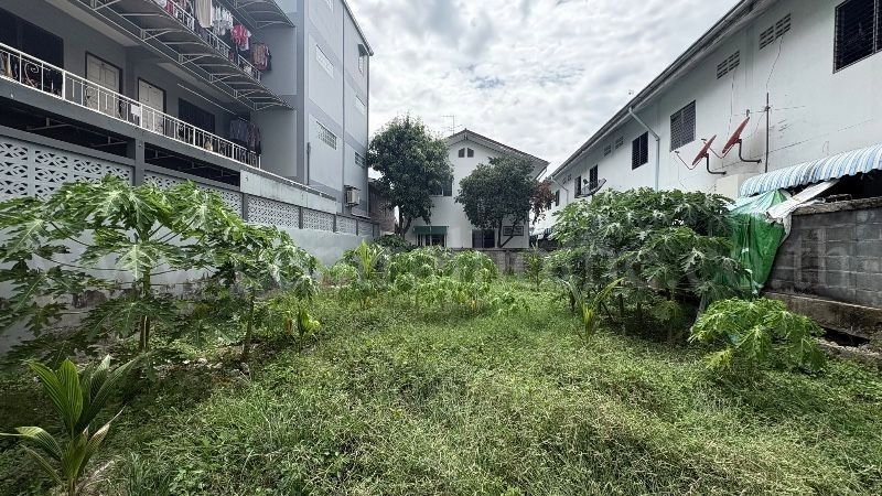 รูป ที่ดินเปล่า ซอย ประดับศุข ใกล้โรบินสันศรีสมาน ทำเลดี ราคาถูก - รูปที่ 4/10