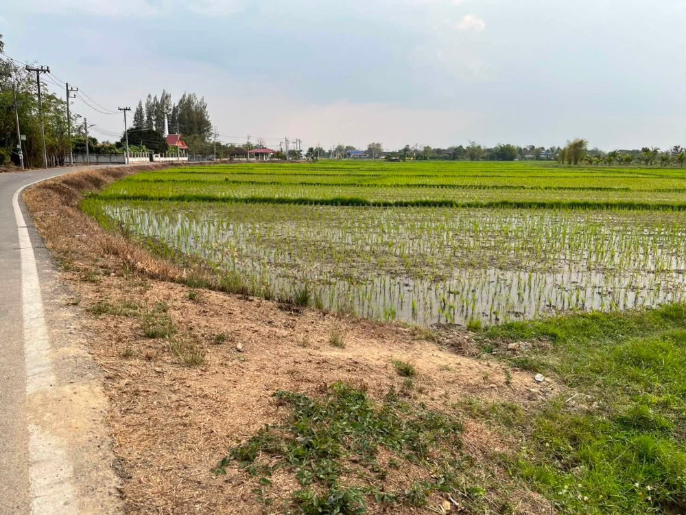 รูป เจ้าของขายเอง: ที่ดินทำเลศักยภาพเชียงใหม่ - ดอยสะเก็ด ใกล้เมือง เดินทางสะดวก มีความกึ่งเมือง กึงวัฒนธรรม - รูปที่ 4/6