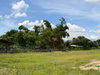 listing thumbnail image 12