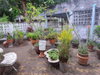 listing thumbnail image 8