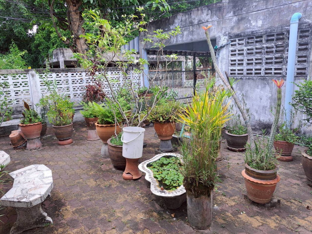 รูป ขายบ้านเดี่ยวชั้นเดียว โครงการสุดจิตต์ นิเวศน์ 60 ตร.ว. แสมดำ บางขุนเทียน ซอยติดกับ Bic C พระราม 2 - รูปที่ 9/17
