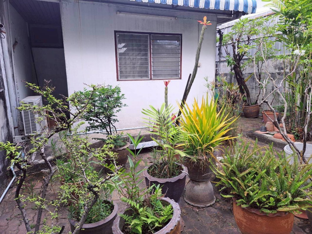 รูป ขายบ้านเดี่ยวชั้นเดียว โครงการสุดจิตต์ นิเวศน์ 60 ตร.ว. แสมดำ บางขุนเทียน ซอยติดกับ Bic C พระราม 2 - รูปที่ 4/17