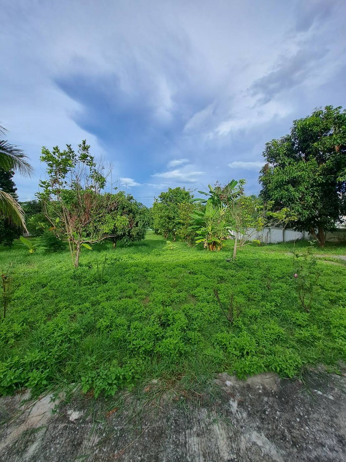 รูป ขายบ้านเดี่ยว2หลังพร้อมที่ดินและสวนผลไม้ เนื้อที่2ไร่70ตรว. ต.เมือง อ.เมืองเลย จ.เลย - รูปที่ 13/14