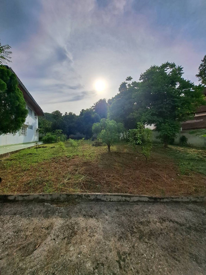 รูป ขายบ้านเดี่ยว2หลังพร้อมที่ดินและสวนผลไม้ เนื้อที่2ไร่70ตรว. ต.เมือง อ.เมืองเลย จ.เลย - รูปที่ 12/14