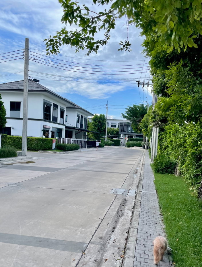 รูป ลุมพินีทาวน์เพลส สุขุมวิท-ศรีนครินทร์ บ้านแฝด Type B สไตล์ Cozy Minimal - รูปที่ 17/18