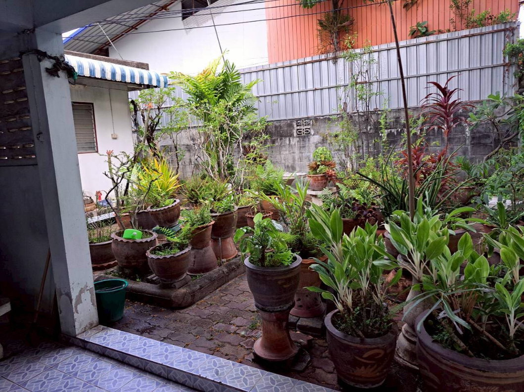รูป ขายบ้านเดี่ยวชั้นเดียว โครงการสุดจิตต์ นิเวศน์ 60 ตร.ว. แสมดำ บางขุนเทียน ซอยติดกับ Bic C พระราม 2 - รูปที่ 2/17