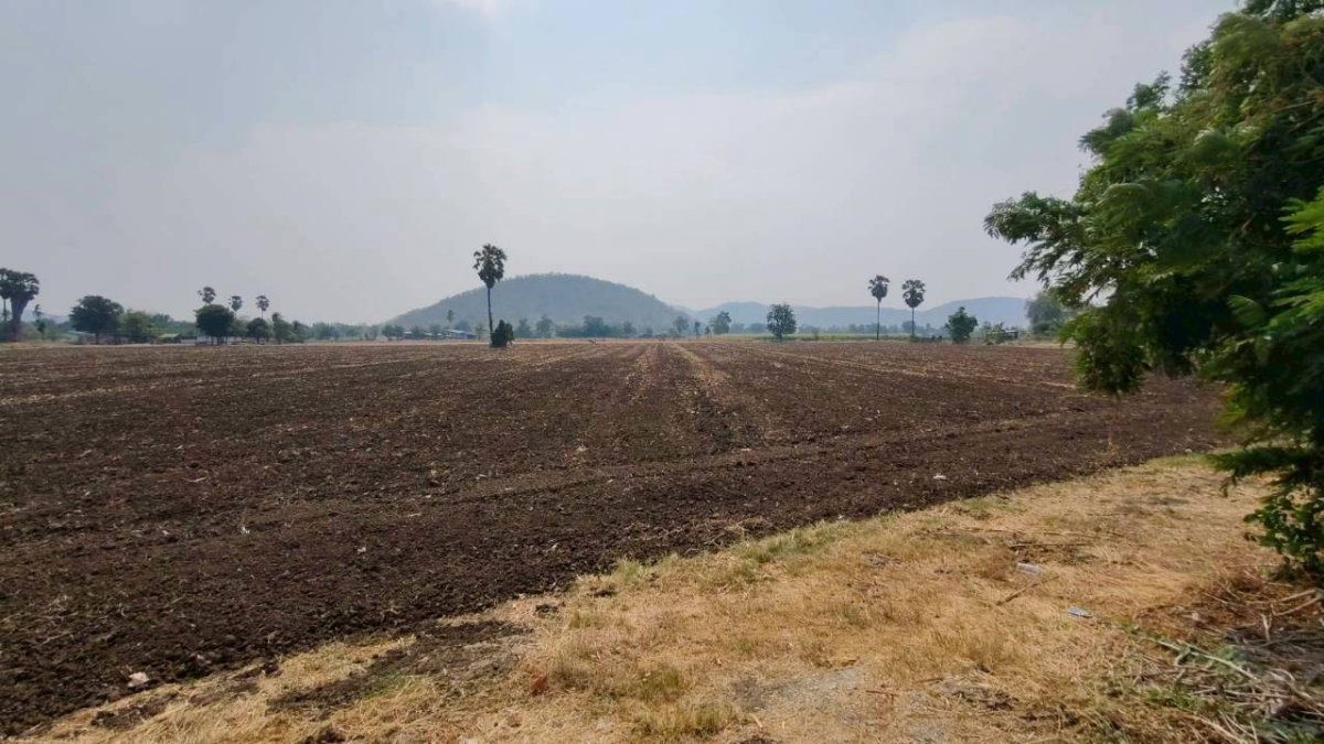 รูป ขายด่วน ที่ดินสวย 17 ไร่ 173 ตร.ว. ย่านอู่ทอง ติดถนนทางหลวงสุพรรณบุรี 3019 ราคาต่อรองได้ - รูปที่ 3/5