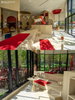 listing thumbnail image 24