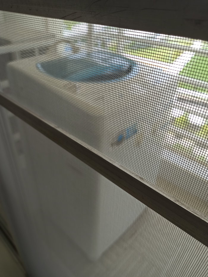 picture For rent Nouvelle Condominium, fully furnished / id line chuenjit.j - 18/19