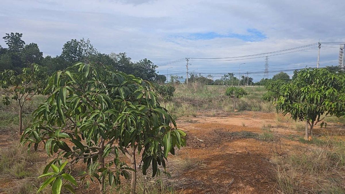 รูป ขายที่ดินเกือบสามไร่ ติดถนนใหญ่  ต.สมอแข อ.เมือง จ.พิษณุโลก ราคาต่อรองได้ - รูปที่ 10/10