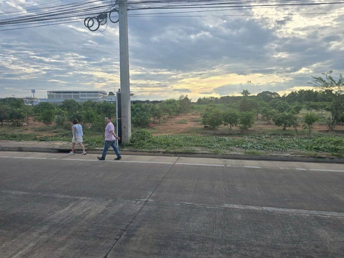 รูป ขายที่ดินเกือบสามไร่ ติดถนนใหญ่  ต.สมอแข อ.เมือง จ.พิษณุโลก ราคาต่อรองได้ - รูปที่ 4/10